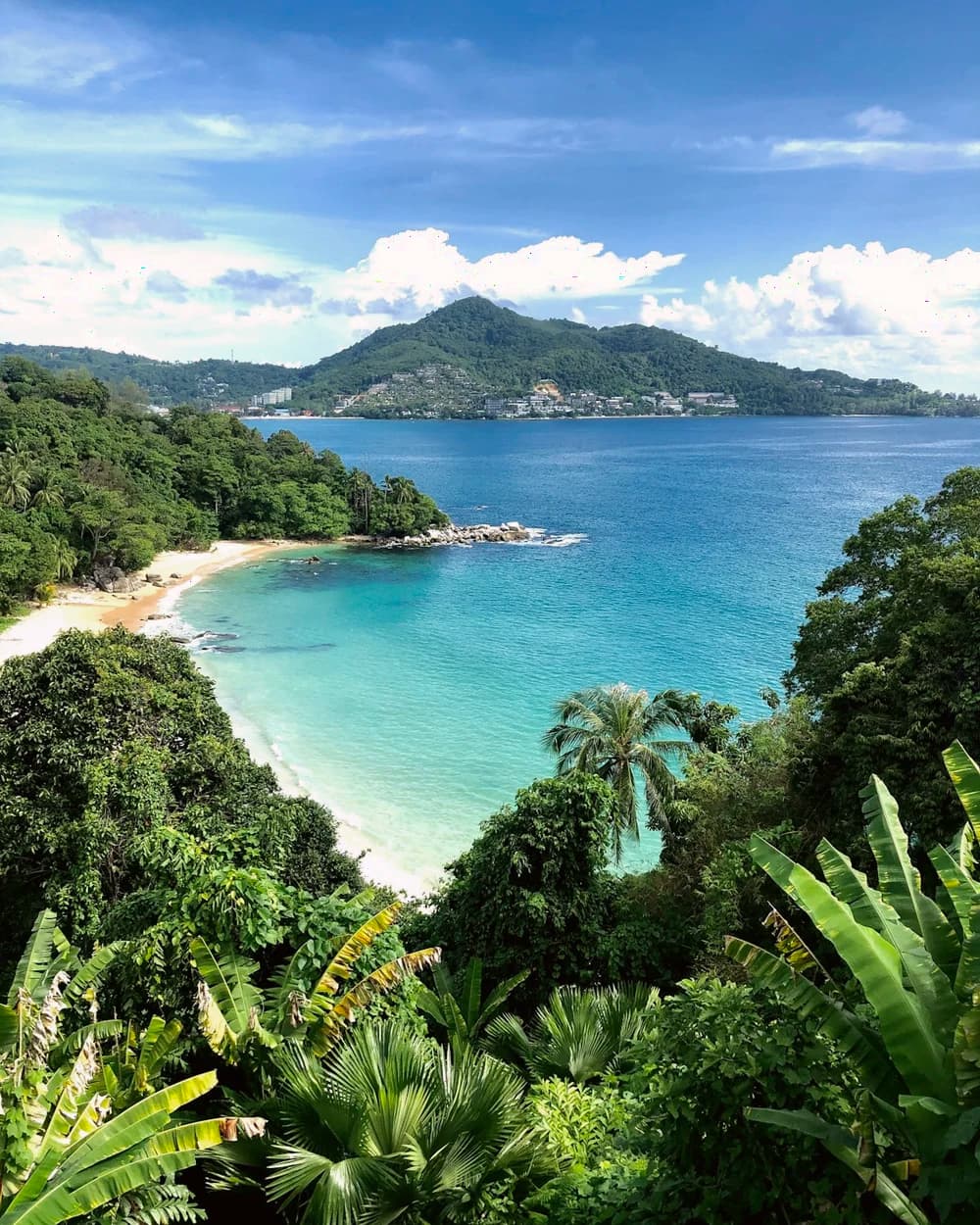 A Phuket bay seen from the hillside through tropical foliage